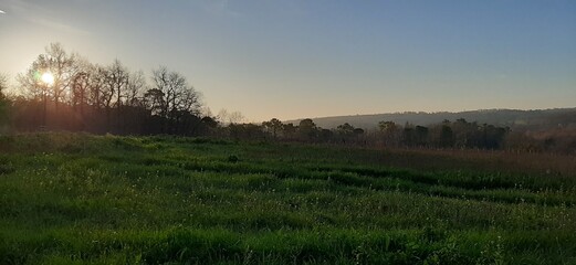 sunset over the field