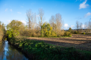 The river Senne and natual surroundings at the Groene Beemde nature reserve in Lot, Flemish...
