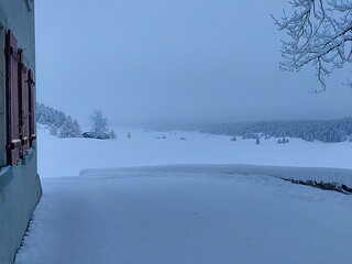 snowscape view at winter ranch