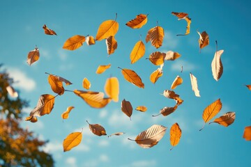A soft breeze lifts autumn leaves high into the air, swirling them gently as they float against a clear blue sky. The scene conveys weightlessness and freedom.