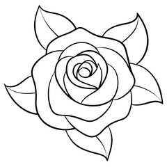 Minimalist Rose Line Art on White Background Elegant Floral Illustration for Prints and Decor