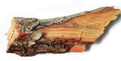 close-up kindling isolated on a white background