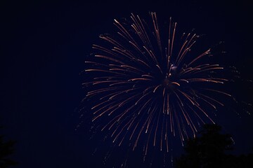 Blue hour with trailing fireworks