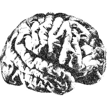 Brain with halftone stipple effect, for grunge punk y2k collage design. Vector illustration in grainy photocopy texture for experimental dotted retro banner design