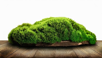 green tree isolated on white