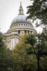 A view of St. Paul&rsquo;s Cathedral&rsquo;s iconic dome framed by green trees, showcasing its historic and architectural grandeur.