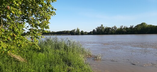 reflection of trees in the water