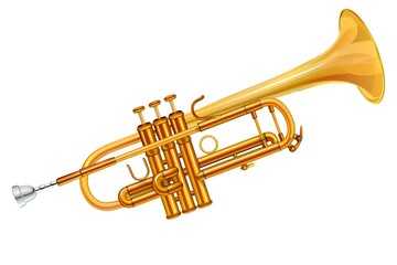Fototapeta premium Vector illustration set of 50 musical instruments in cartoon style isolated on white background Retro musical instruments set realistic design Music instruments, musical notes and equipment A variety 