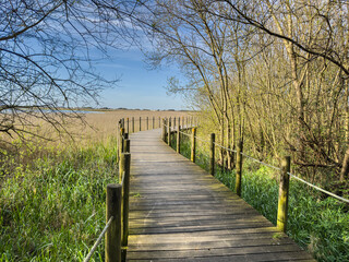 Fototapeta premium Barrinha of Esmoriz, situated between the municipalities of Espinho and Ovar, Portugal.