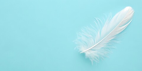 Minimalist feather design on pastel blue background for modern decor

