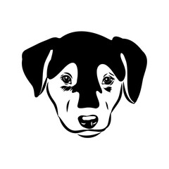 vector drawings New Zealand shepherd, vector sketch in ink by hand , objects with no background