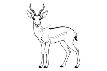 Line Drawing of a Pronghorn Stunning Wildlife Art