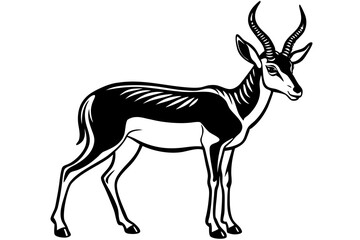 Line Silhouette Drawing of a Pronghorn Stunning Wildlife Art