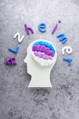 A brain model crafted from shades of purple material rests on with white of head on a gray background. Problems with mental health, Alzheimer's disease, dementia, changes in behavior. top view.