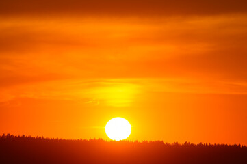 A red sunset. The setting sun over the forest in summer.