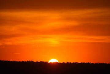 A red sunset. The setting sun over the forest in summer.