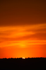 A red sunset. The setting sun over the forest in summer.