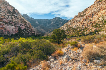 Willow Spring Loop Trail in Red Rock Canyon National Conservation Area