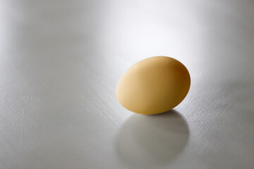close-up of beige brown golden neutral color egg isolated on white background with shadow