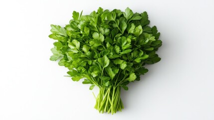 Obraz premium A bunch of fresh parsley on a white background.