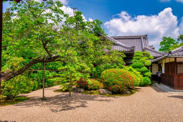 Naklejka premium Nara, Japan. Noborioji Park on a sunny day