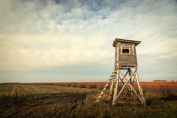 hunting blind autumn in colourfull fields. october fields and forest Poland Europe, Knyszyn...