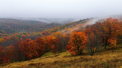 Fototapeta premium Autumn hills with misty fog covering the valley and colorful trees on the slopes