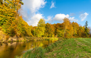 jesień nad rzeką