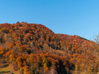 Village Transcarpathia region scenic Sunny Carpathian mountains view Ukraine, Europe. Autumn countryside rural landscape. Fall spruce pine trees lush foliage Eco Local tourism hiking Recreational area
