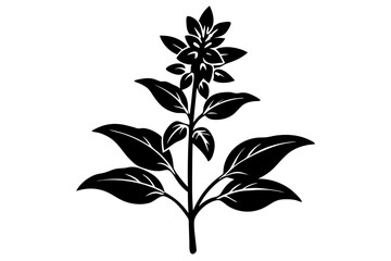 Elegant Line Silhouette Drawing of a Salvia Flower – Minimalist Art Inspiration