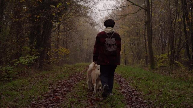 plan fixe dans un chemin en automne, avec une dame et son chien akita roux et blanc avan&ccedil;ant dans le chemin continuant la promenade