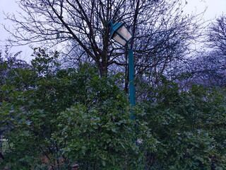 broken street lantern in Brussels' park