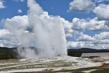 geyser in national park