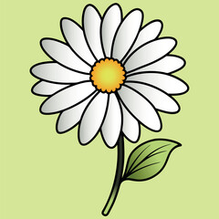 Vector illustration of chamomile, flower