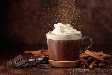 Hot chocolate with whipped cream.