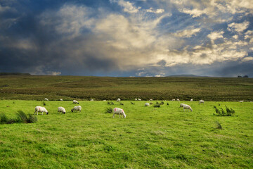 County Donegal, Ireland