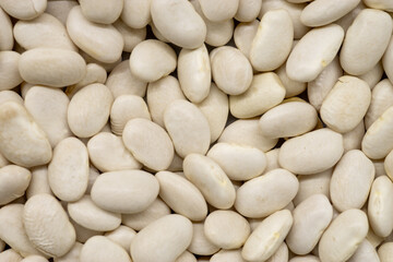 White beans filling the frame creating a food background