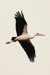 Obraz premium A stork carrying a baby bundle in the sky among clouds.
