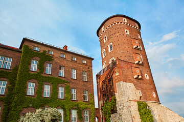 A building made of old red brick with lush green ivy climbing over it on the old Zamek Krolewski na...