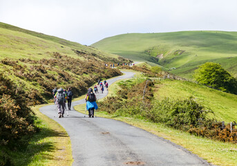 Pilgrims journeying along the scenic Camino de Santiago in the morning