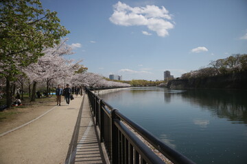 bridge over the river