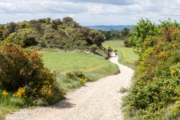 Winding trail through the lush French Pyrenees on the Camino de Santiago journey