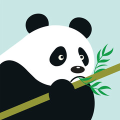 Obraz premium panda bear with bamboo eating leaves