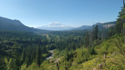 Fototapeta premium Mountain