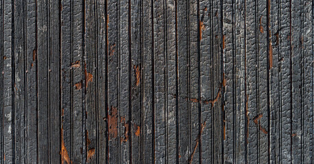 Burnt vertical wood planks texture on a bright sunny day. Background of charred wooden boards....