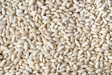 Organic kidney beans background. Texture of raw white beans or haricot close-up. Harvesting, organic farm products, plant protein concept. Vegetarian and vegan food ingredient.