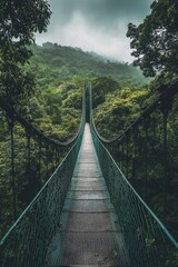 Obraz premium A serene forest canopy walk on a hanging bridge surrounded by lush greenery and mist