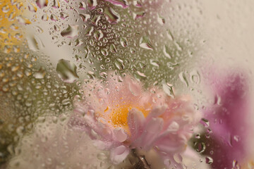 Soft focus  flower bouquet through glass with wet water drops. Abstract nature blur background.