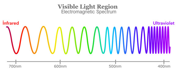Colors wavelength range, long, short line waves. Red, yellow, green, blue, violet, color light frequency, rainbow. Visible electromagnetic spectrum diagram. Ultraviolet to infrared radiation. Vector	