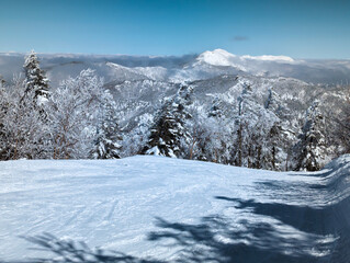 Snowy mountains and forests shrouded in a layer of cloud (Yokoteyama, Nagano, Japan)[